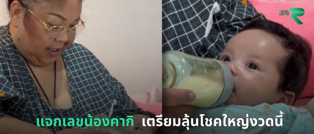 แจกเลขน้องคากิ